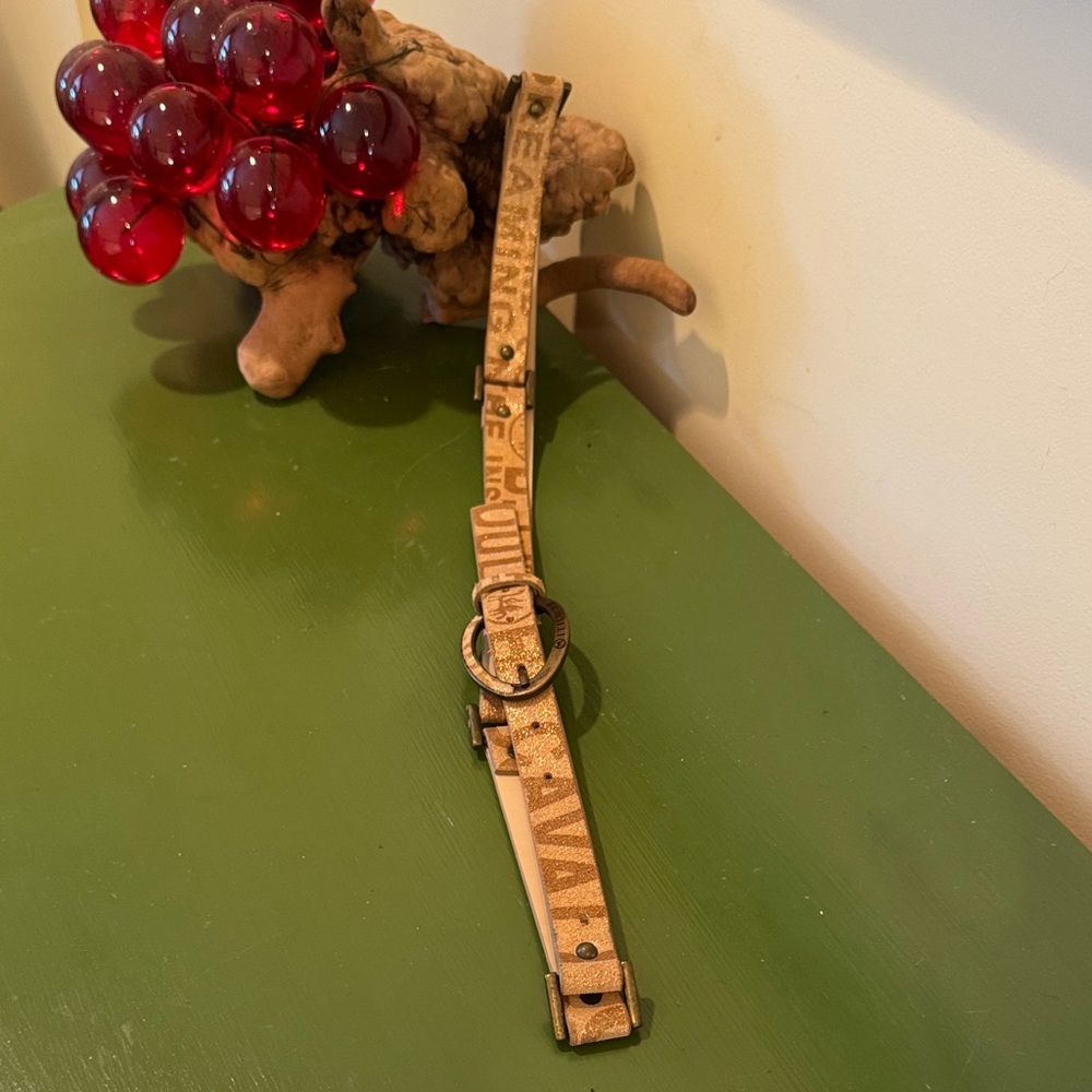 B Cavalli belt. Nice brass buckle has text on it and glitter made in Italy